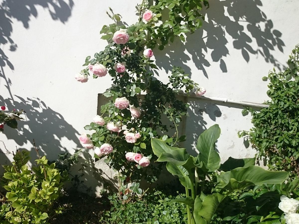 Le Clos Chez Michel Montpellier Bagian luar foto