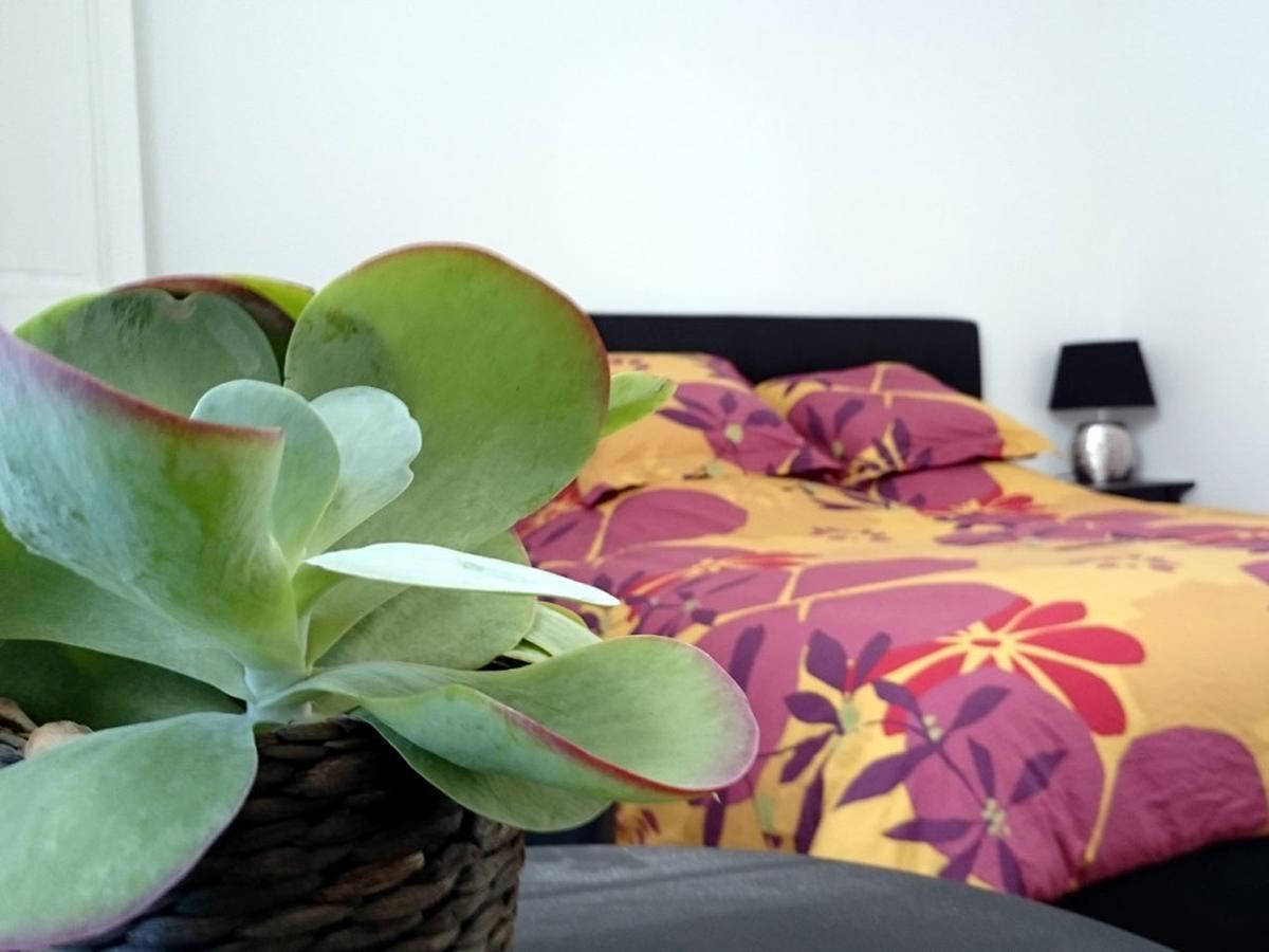 Le Clos Chez Michel Montpellier Bagian luar foto